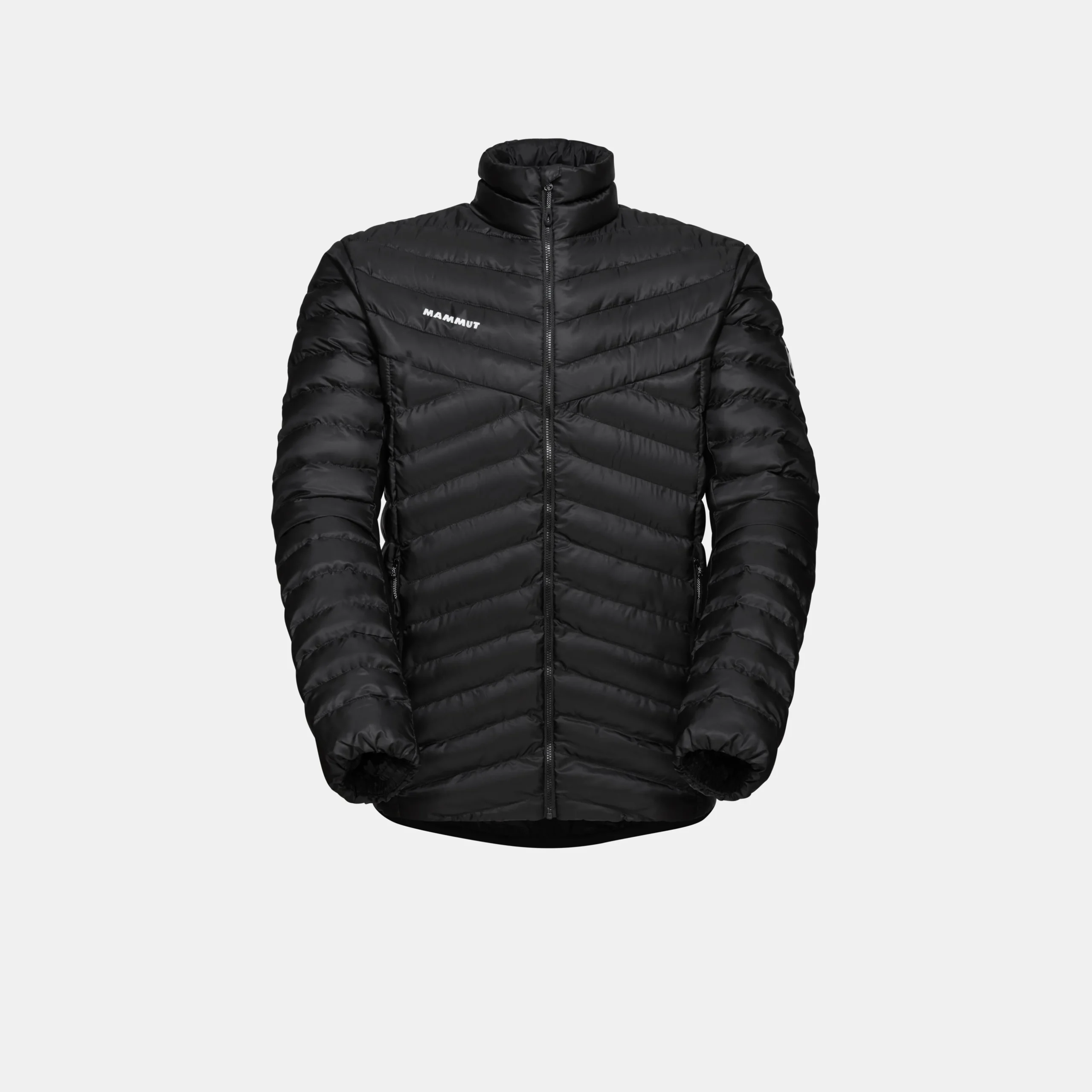 Albula IN Jacket Men