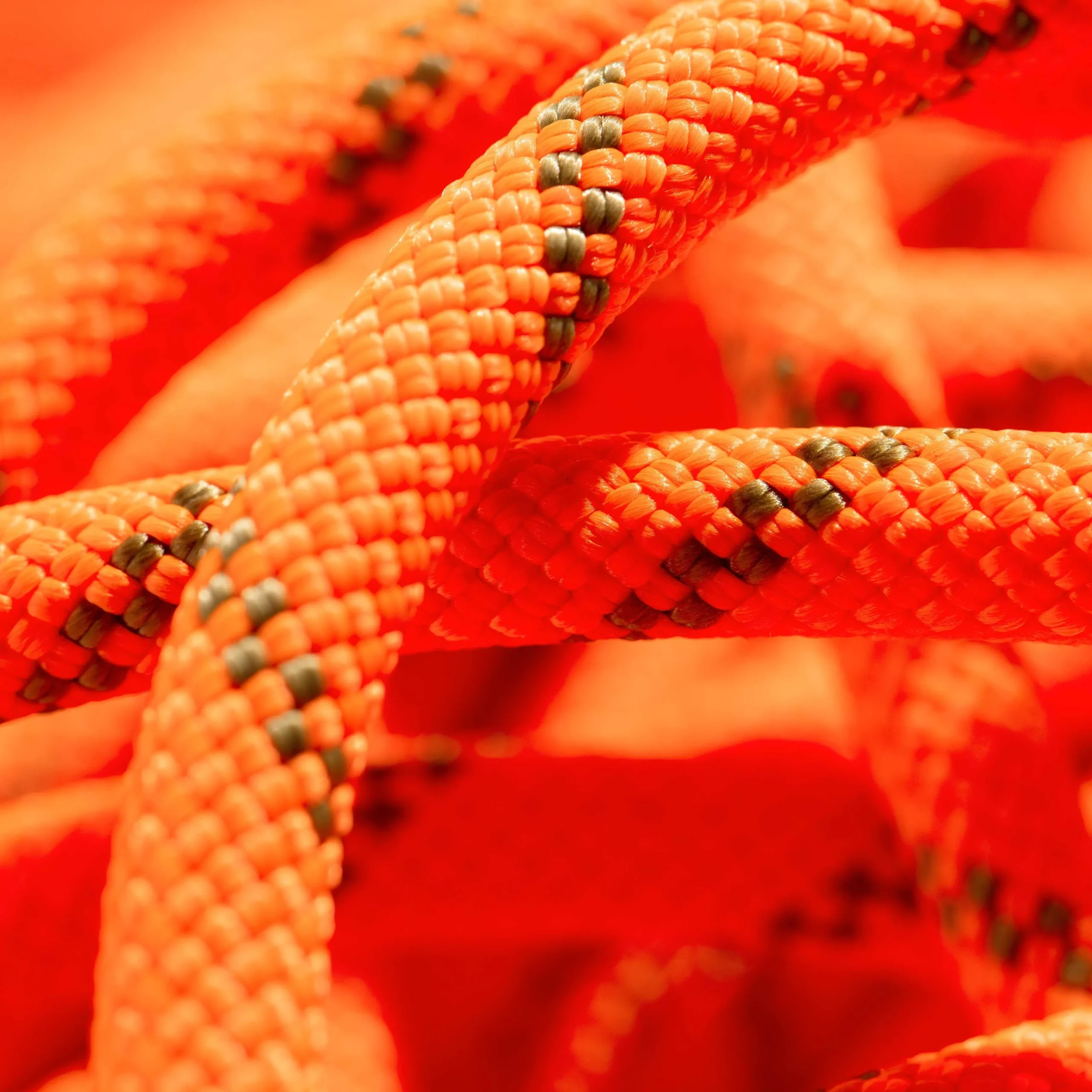 8.0 Alpine Dry Rope